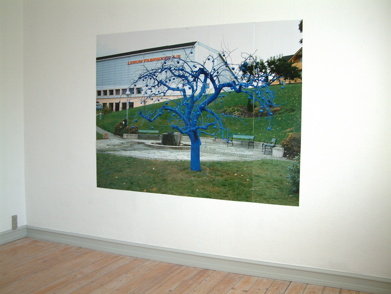 Blue tree-Photographed in Norway - installed